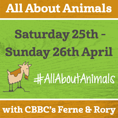 All About Animals with Ferne & Rory